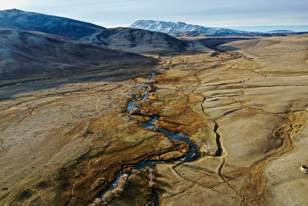 Feature Image 1